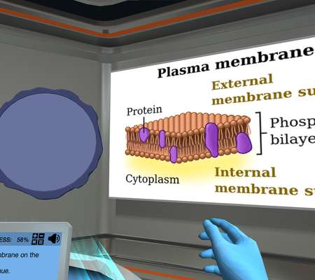 Comparing Bacterial Structures