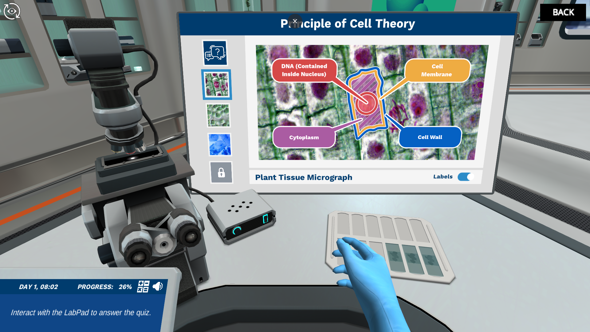 Cell Structure: Cell theory and internal organelles