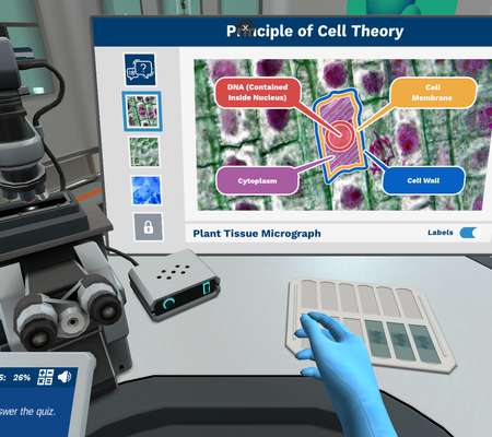 Cell Structure: Cell theory and internal organelles