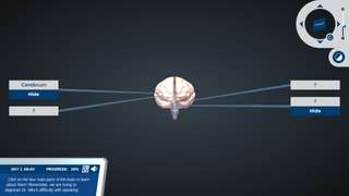 Introduction to the Central Nervous System: Explore your body’s command center!