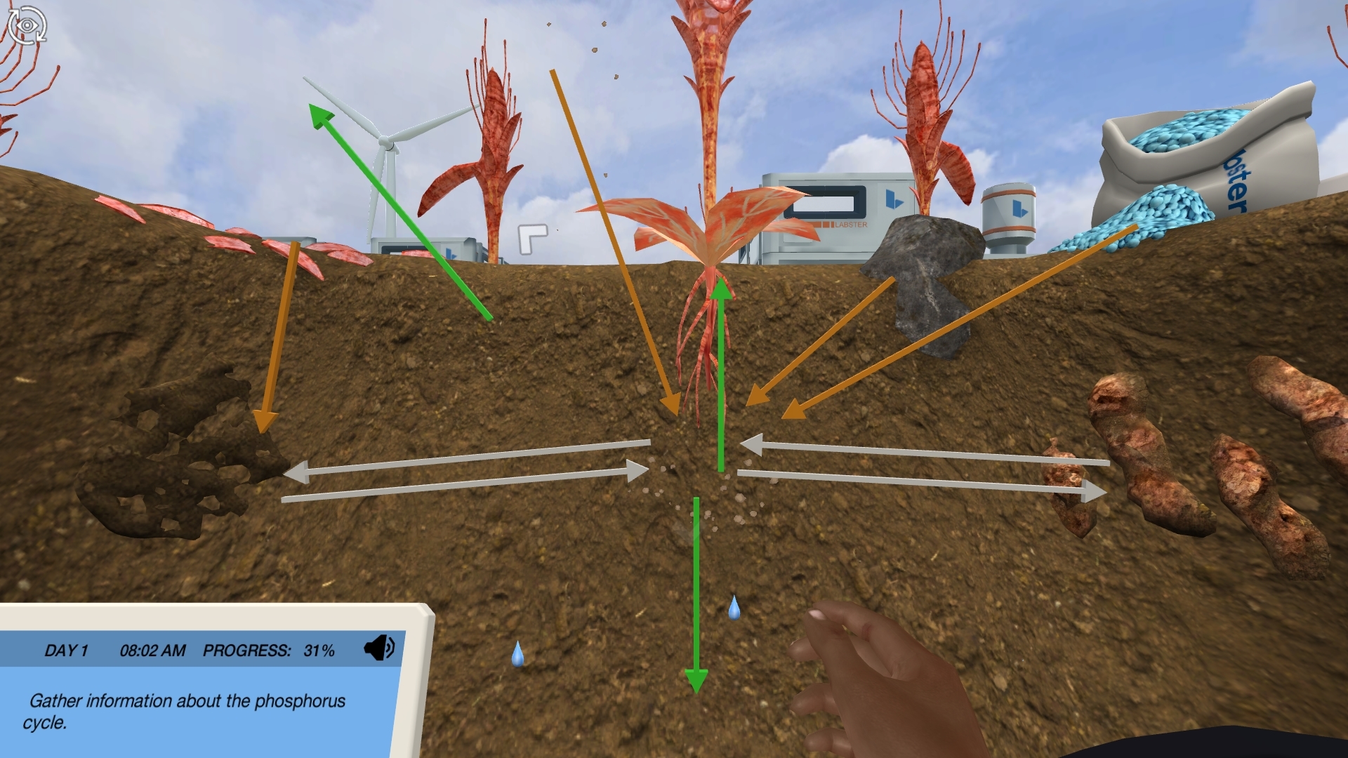 Ecosystem Dynamics: Assess the effect of fertilizers on the phosphorus cycle