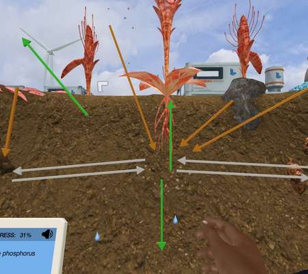 Ecosystem Dynamics: Assess the effect of fertilizers on the phosphorus cycle