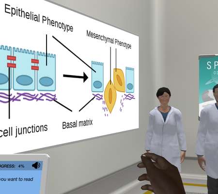 CRISPR-Cas applied to TGF-beta induced EMT