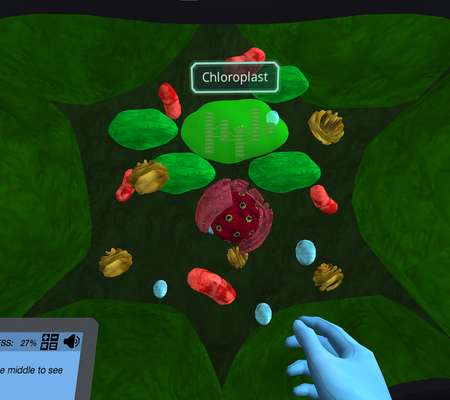 Photosynthesis: Electron transport chain