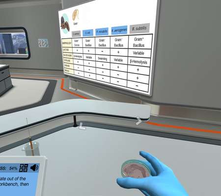 Experimental Design & Scientific Investigation