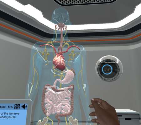 Introduction to Immunology: Explore the immune system and save the world!