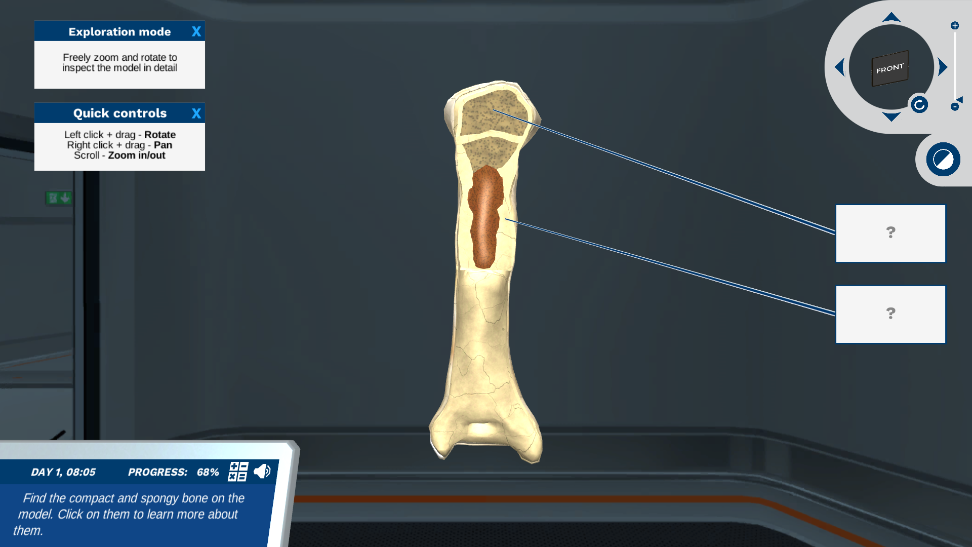 Skeleton Simulation Skeletal System: Solve a missing person case | Labster Virtual Labs