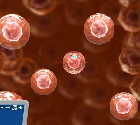 Cancer: Impact of BRCA mutations