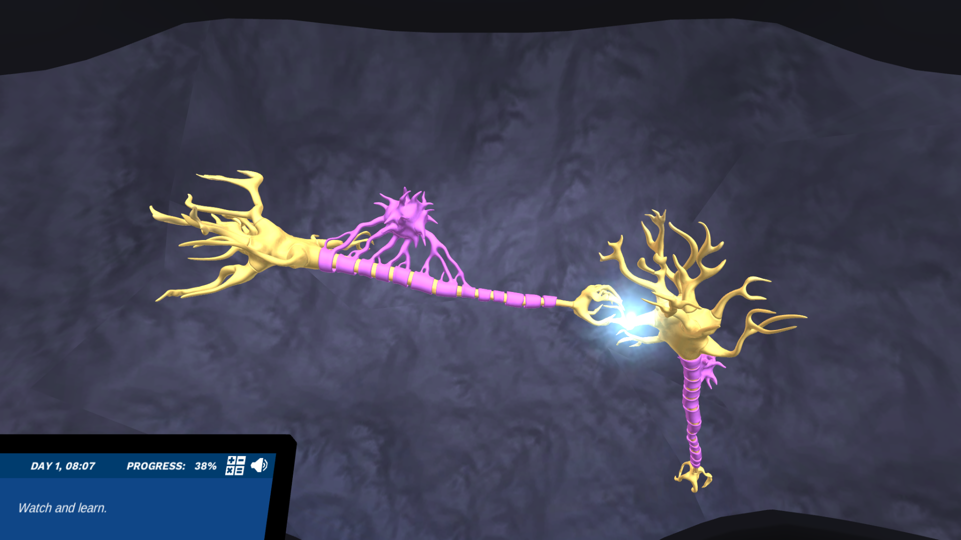 Microanatomy of a Neuron: Build your own neurons! | Labster Virtual Labs