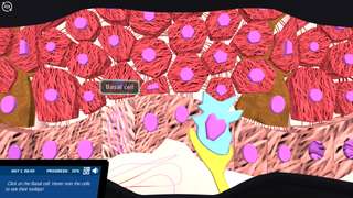 Skin Layers and Organ Anatomy: Follow a skin cell’s journey!