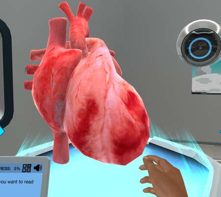 Introduction to Echocardiography: Use different projections to diagnose patients