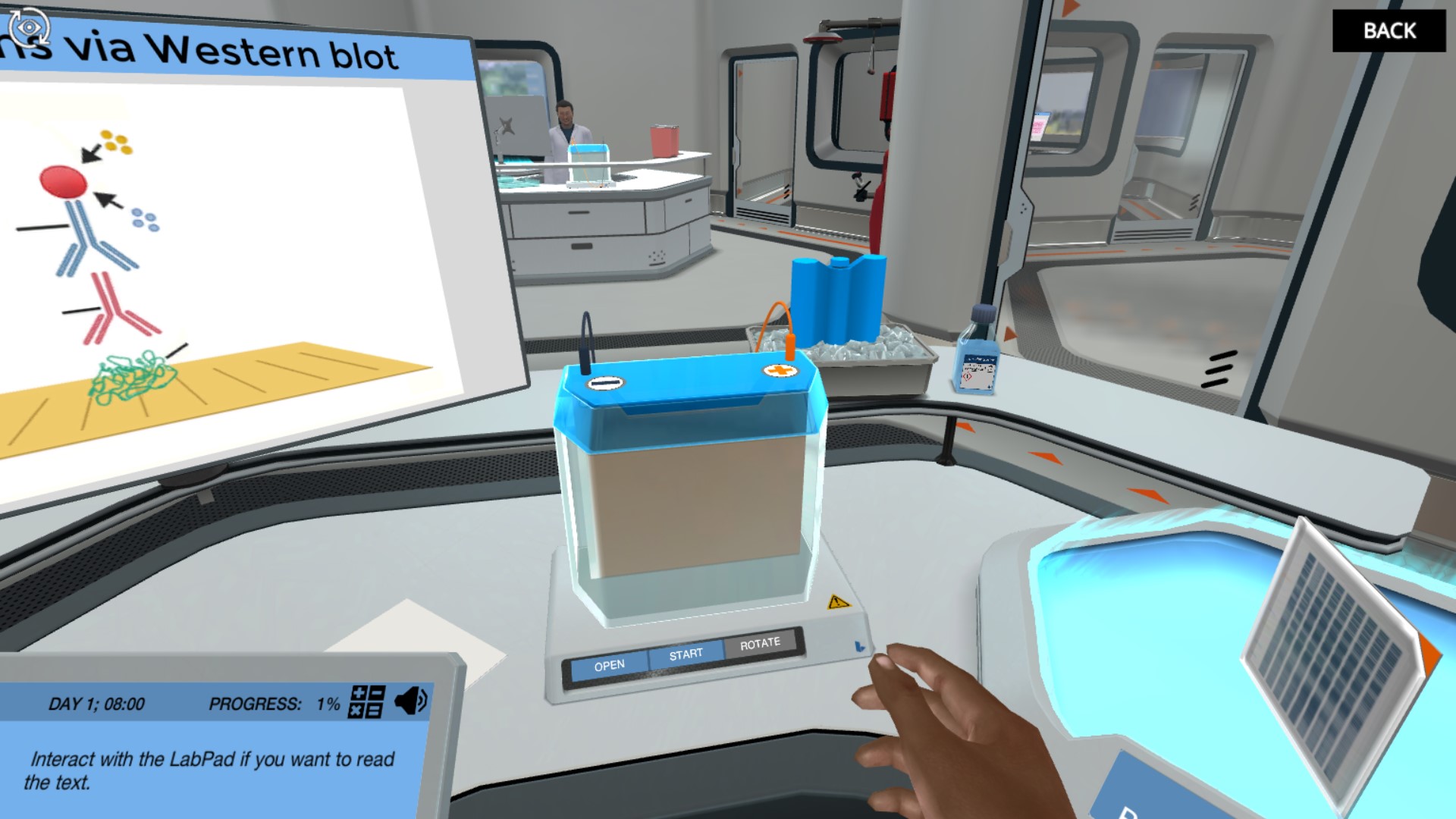 Western Blot Transfer: Prepare for protein detection 